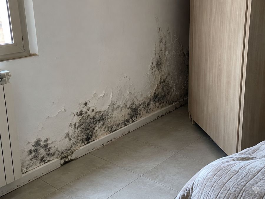 Parete dietro un armadio spostato con muffa scura vicino al pavimento